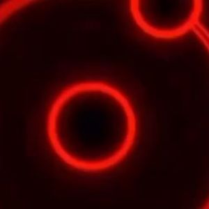 Meet your Posher, Danarde